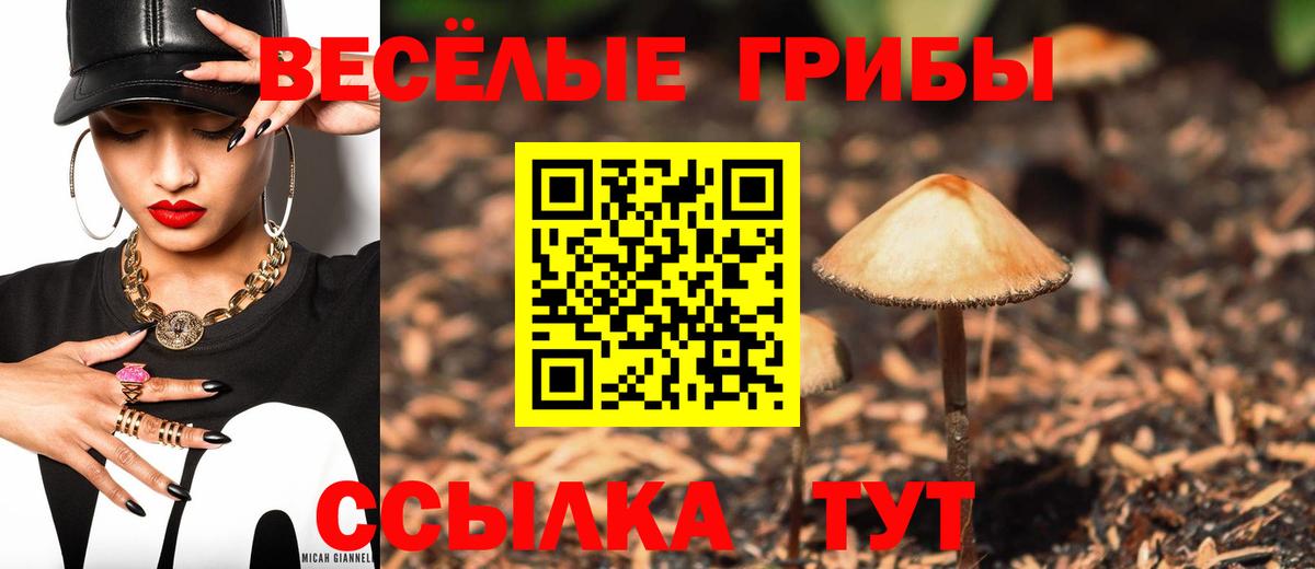 Псилоцибиновые грибы GOLDEN TEACHER  Галлюциногенные грибы ЛСД  Вход с VPN  Петрозаводск 